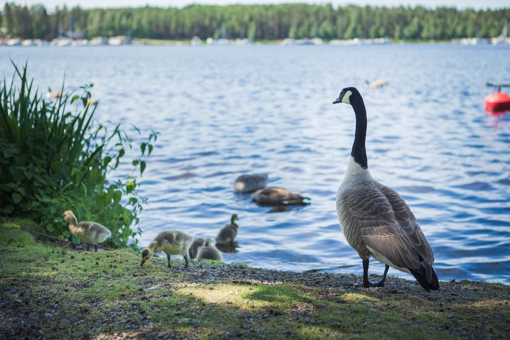 Finlandia Hotel Imatran Kylpylae Spa Luaran gambar